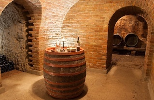 Chalupa a vinn sklep - Plava - Nov Mlny