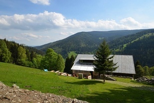 Bouda u Lišky - Velká Úpa - Pec pod Sněžkou