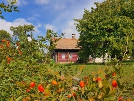 Nov objekt: Chalupa Polom - Orlick hory - Dobruka 8C-125