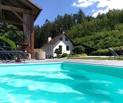 Chalupa s bazénem - Horní Bříza - Třemošná