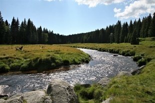 Rodinná chalupa Šumava - Prameniště - Hartmanice