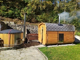 Chata se saunou - Rejvz - Olenice - Jesenk