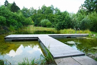 Chalupa a koupac jezrko - Javornk - Krkonoe