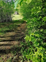 Glamping Medová Maringotka - CHKO Poodří