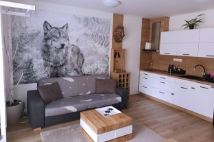 Apartmán Krkonoše - Mladé Buky - Horní Maršov
