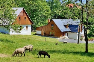 Nov objekt: Apartmn Krkonoe - Vysok nad Jizerou - Hoensko 5C-313