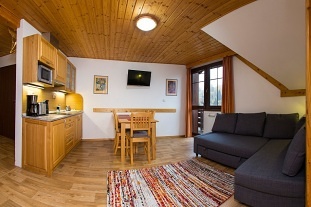 Rodinn apartmnov chalupa - Krkonoe - Studenov