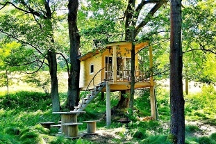 Nov objekt: Glamping a koupac sud na samot - Treehouse 10C-141