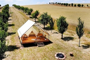 Nov� objekt: Glamping u vinn� r�vy - stan Dub�any - Kyjov