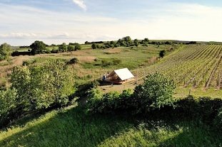 Nov� objekt: Glamping u vinice - stan Mut�nice - Dub�any 1M-279