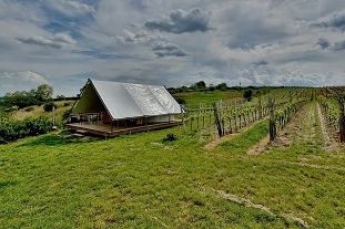 Glamping u vinice - stan Mutěnice - Dubňany