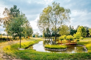 Srub v korun stromu - Nov Bystice - Tebosko