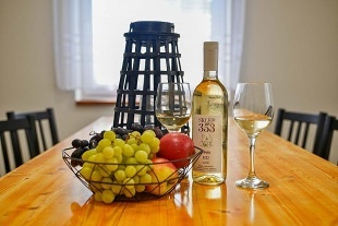 Chata a vinný sklep - Habánská stezka - Pálava