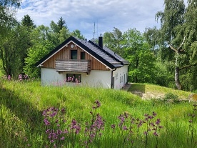 Chata a wellness - jezero Lipno - Vy��� Brod