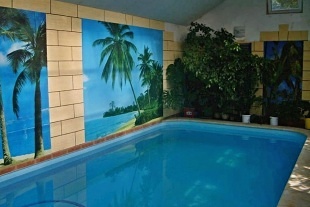 Chalupa a vnit�n� baz�n - vrch �al� - Krkono�e