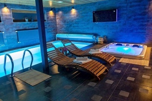 Wellness chata a bazén - zámek Konopiště - Blaník