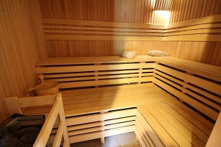 Chalupa bazn a sauna - Snn - Sedloov