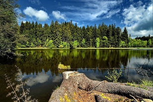 Chalupa �esk� Kanada - hrad Land�tejn - H�rky