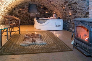 Penzion na zámku - Panský rybník - Herálec