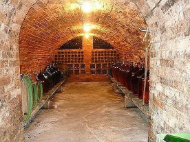 Chalupa a vinný sklep - Mikulčický luh - Slovácko