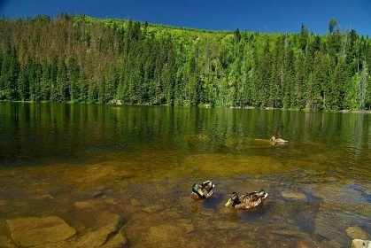 Výlet - Prášilské jezero - Prášily