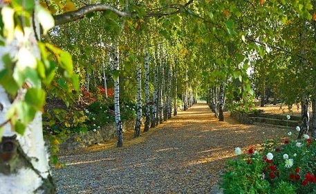 Garden park - Jeneč