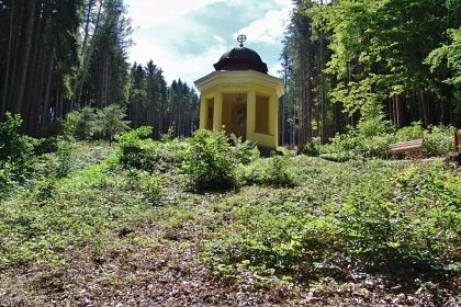 Lesní stezka pod Zvičinou - Dolní Brusnice
