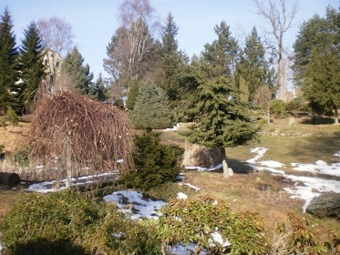 Fritscheho arboretum - Sněžná - Krásná Lípa