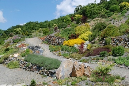 Arboretum Makču Pikču - Paseka
