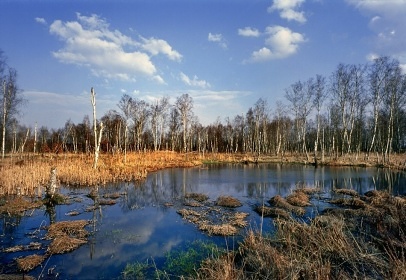 Národní přírodní rezervace Soos - Skalná